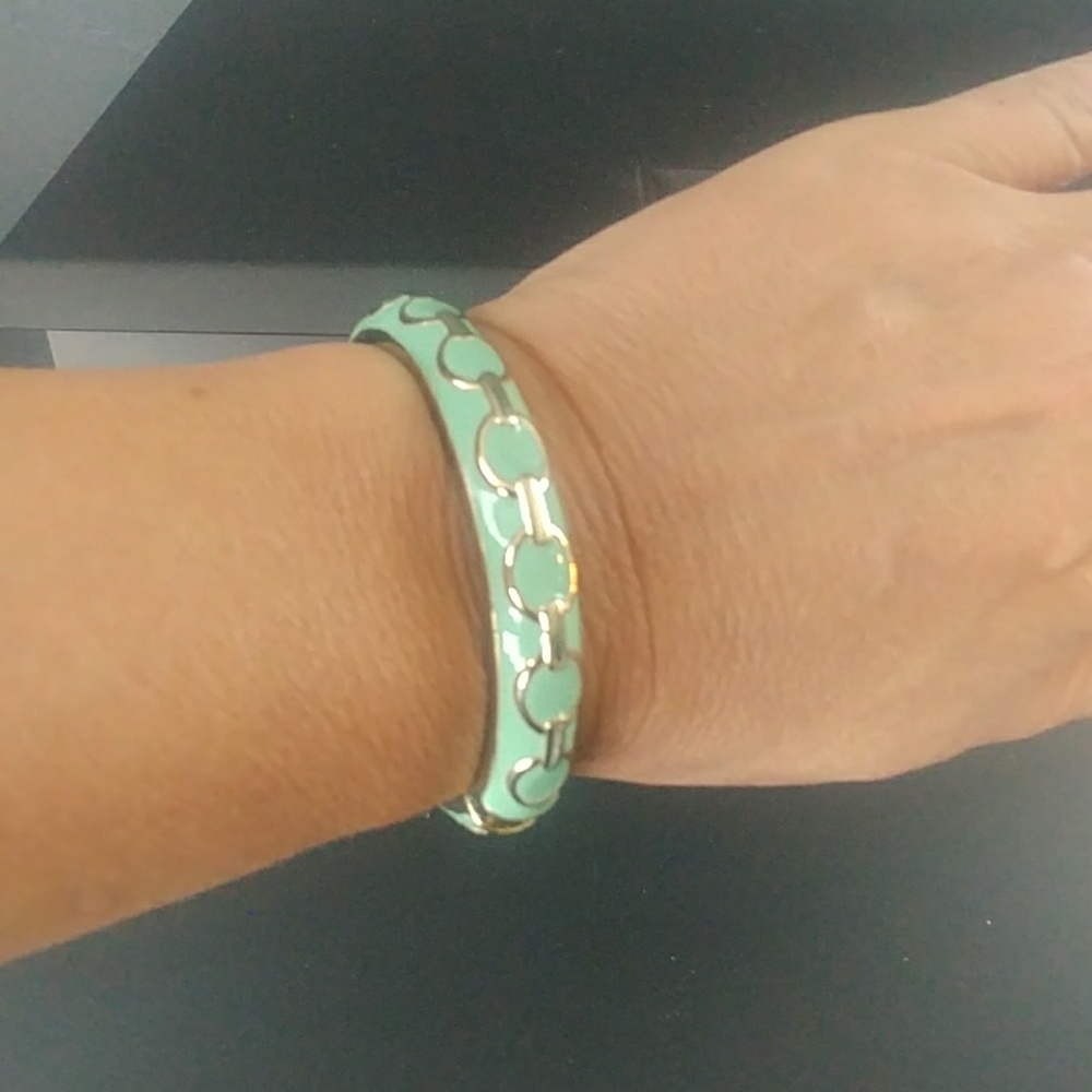 Premier Designs Pistachio hinged bracelet